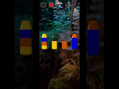 Water Sort Puzzle Bottle Games