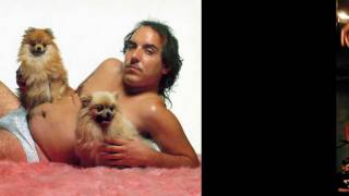 Northern State - Summer Never Ends