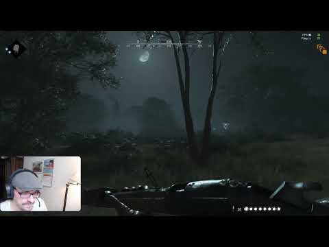 Hunt with froin, who is carrying who anyway, later stellaris