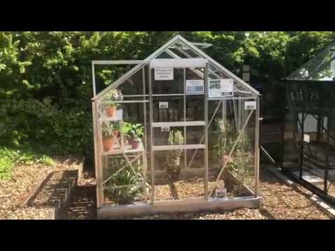 download lagu mp3 mp4 Halls Popular Greenhouse Review, download lagu Halls Popular Greenhouse Review gratis, unduh video klip Halls Popular Greenhouse Review