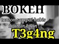 VIDEO BOKEH Tonton Sampai Habis Dijamin Bikin T3g4ng
