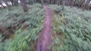 Hill of Allen 10/07/16