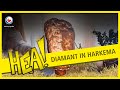 HEA! Een diamant in Harkema?