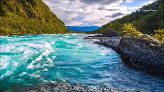 NADIE COMO TÚ   PALOMA SAN BASILIO