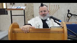 הרב יצחק לוי | רב העיר נשר | הלכה יומית כ' שבט תשפ"ה (הרב יצחק לוי) - התמונה מוצגת ישירות מתוך אתר האינטרנט יוטיוב. זכויות היוצרים בתמונה שייכות ליוצרה. קישור קרדיט למקור התוכן נמצא בתוך דף הסרטון