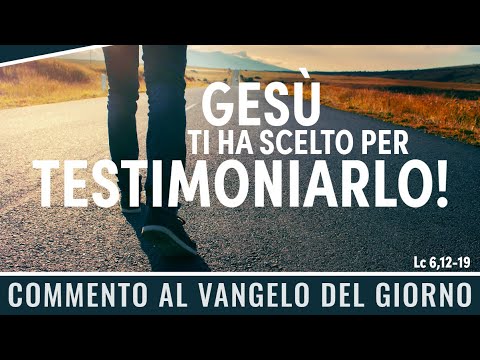 Commentary on the Gospel of the day - Luke 6:12-19 - Jesus has chosen you to bear witness to him!