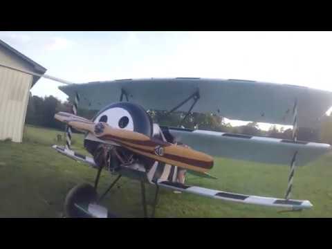 Fokker Dr.I Rotary Aerobatics