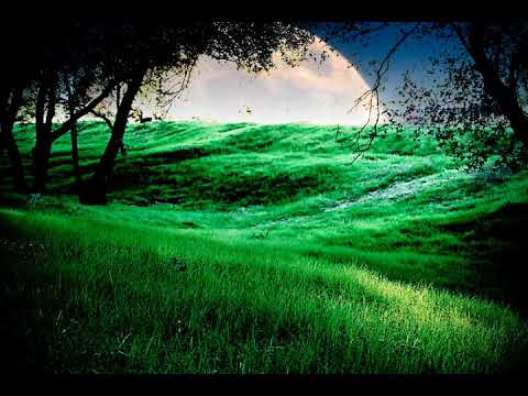 Moon in Taurus Personality Traits 🌜♉