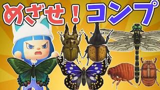 【めざせ博物館コンプ】寄贈してない虫を全部とるぞ【あつ森ゆっくり実況】