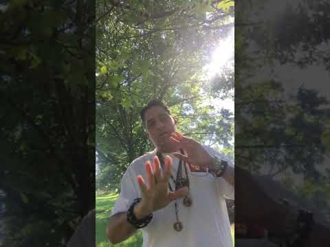 Moment Meditation ❤️❤️❤️🦁🐯😊