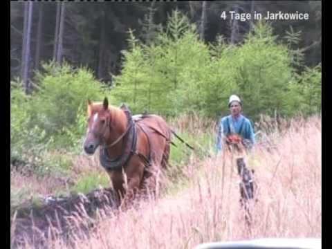 Jarcowice/Schlesien: Ausflug auf die Winterseite *Hünniger 2010