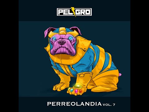 Dj Peligro - PERREOLANDIA VOL 7 (Calma Donde estan las gatas gucci prada la chama) @DJPELIGROPERU