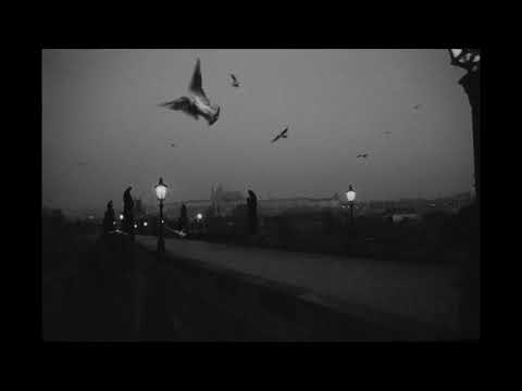 kostaki - Ploaie si Foc