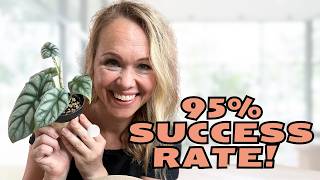 5 Propagation Mistakes That Killed My Cuttings (Now I Have 95% Success)