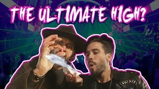 IS THIS THE ULTIMATE HIGH? PARTY MEDITATION #1 ✘ CULT STATUS  ✘