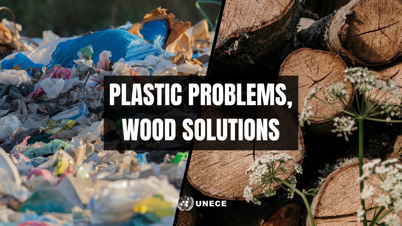 Plastic problems, wood solutions