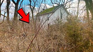 Discovering Hidden Dangers In An Overgrown Yard - You Won't Believe What I Found