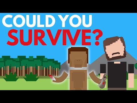 你能在250萬年前生存下來嗎？ (Could You Survive 2.5 Million Years Ago?)