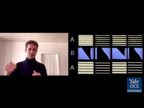 3-Minute Thesis Competition (2021) Henry Balme