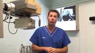 Steve Leonard visits the PDSA Pet Hospital in Birmingham