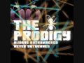 The Prodigy Girls