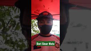 Download lagu Dari Sinar Mata mp3 Download lagu Dari Sinar Mata mp3