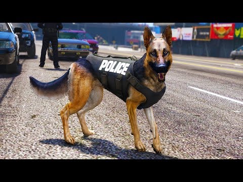 LSPDFR - Day 833 - K9 Body Armor