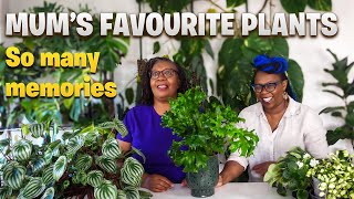 My Mum’s Top Houseplant Picks (This Got Me Emotional)