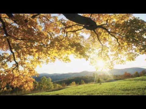 A million parachutes video