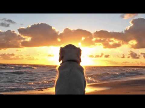 Raly Barrionuevo - el sol parece lluvia