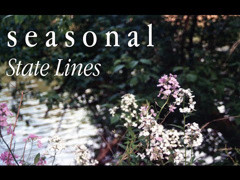 seasonal - State Lines Official Music Video