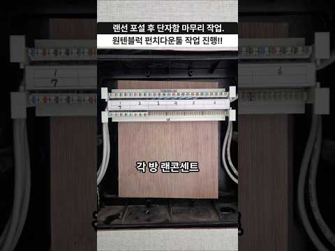 랜선만 깔면 끝? 아닙니다! 단독주택 랜공사의 진짜 마무리｜성북구 네트워크 공사