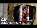 Behind Bars: CPDRC, Philippines | World’s Toughest Prisons | Free Documentary DEFAULT Thumbnail