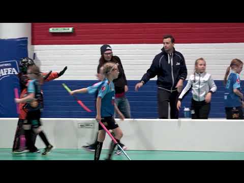 Northern Stars E-tyttöjen maalikarnevaalit