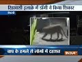 CCTV captured Tiger attacking dog in Shirdi