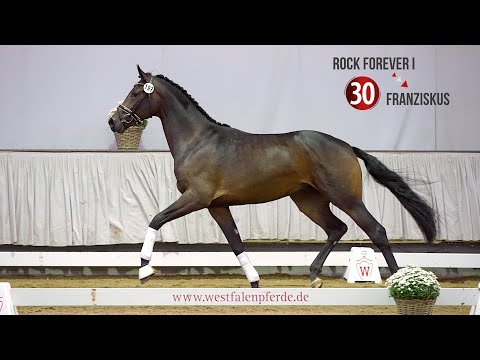 Westf. Hauptkörung Reitpferdehengste 2020: 30  Rock Forever I - Franziskus - Ehrentusch