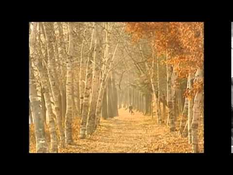 Haba Nowena Hena - Kasun Kalhara