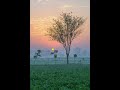 Swaah Ban Ke Diljit Dosanjh Raj Ranjodh