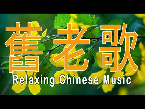 太好聽了 薩克斯風 50首 薩克斯風 輕音樂 放鬆解壓 | 薩克斯風 老歌輕音樂 放鬆解壓 Relaxing Chinese Music # 23