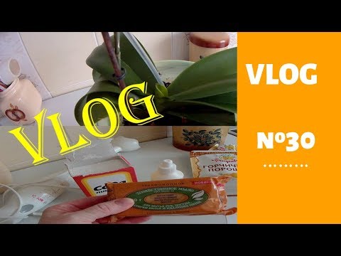 VLOG № 30.Мыло для кухни и посуды.Моя орхидея. УЖИН.