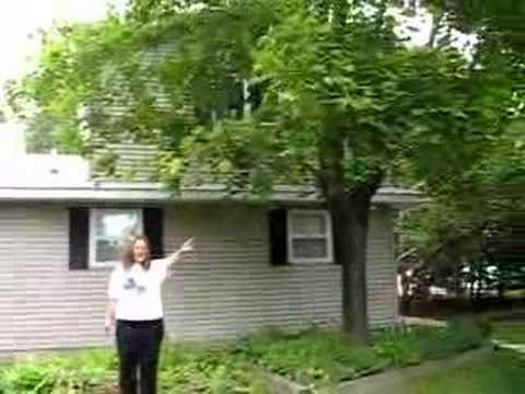 babcia(grandma in polish) house.