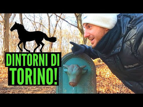 Il MAGNIFICO Parco La Mandria in bici! (Venaria, Torino)