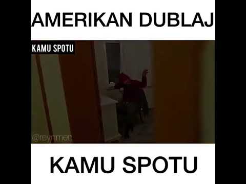 Reynmen amerikan dublaj Veysel zaloğlu
