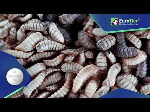 EuroTier Innovation Award 2022 - Silbermedaille - Dry.Sec, WEDA Dammann & Westerkamp GmbH