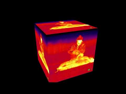 ATN TICO Thermal Imaging Clip-On Rifle Scope Review - www.TechEyes.com