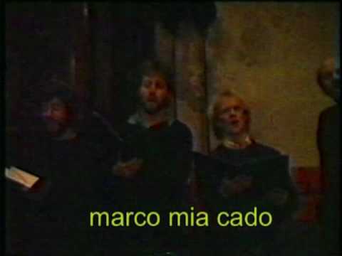 Muziekgroep Zwink - Lutherse Kerk 1 (1989)