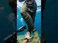 Uncovering The Depths Of Ancient Dwaraka