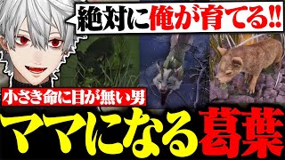 赤ちゃん動物を見つけては育て始めてしまう葛葉ママ【にじさんじ/切り抜き/まとめ】