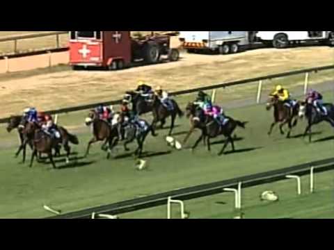 Joburg Spring F&M Challenge (Grade 3) 2013