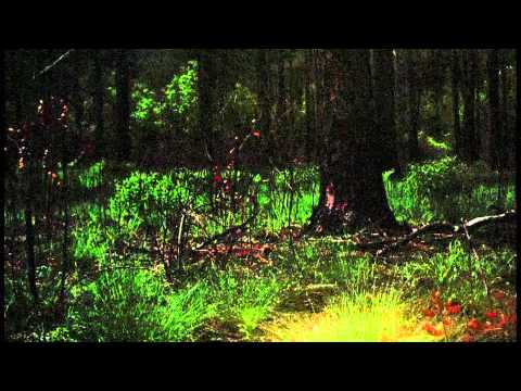 Tom Demac - It Grows Again - Official Video